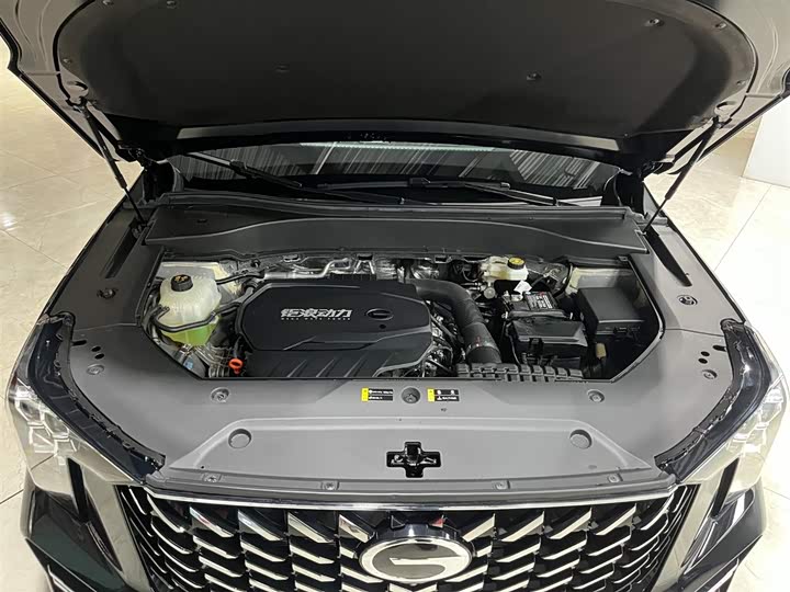 GAC Trumpchi GS8 2025 2025款 领航系列 2.0TGDI 四驱豪华版 5座