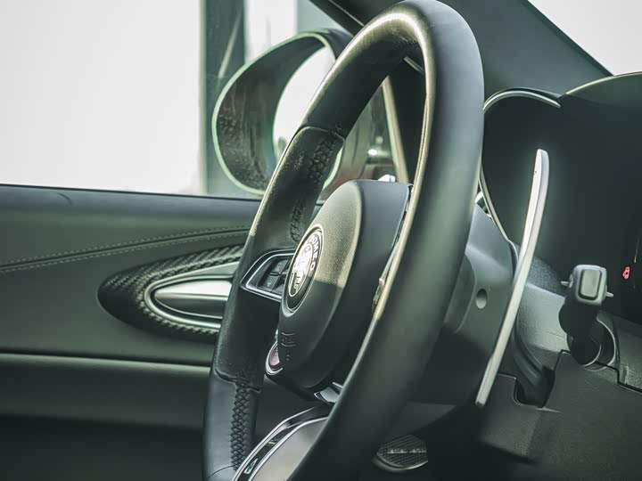 Alfa Romeo Giulia 2023 2023款 2.9T V6 520HP 四叶草版