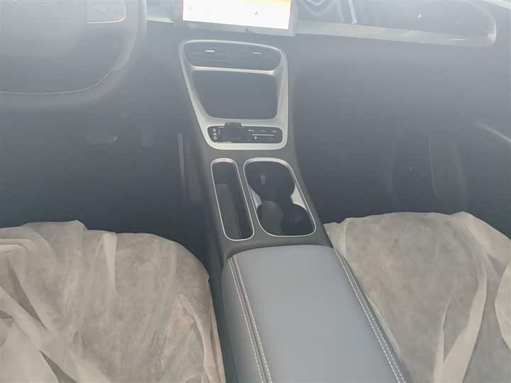 Geely Galaxy Geome 2026 2026款 310km 青春版