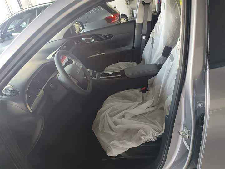 Geely Galaxy Geome 2026 2026款 310km 青春版