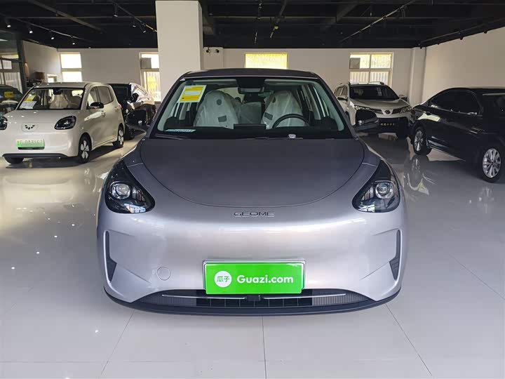 Geely Galaxy Geome 2026 2026款 310km 青春版