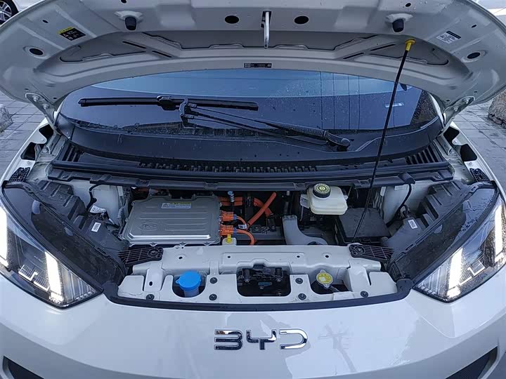 BYD Seagull 2025 2025款 智驾版 305km 自由版