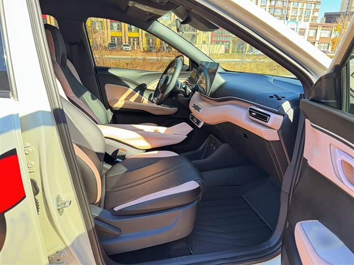 BYD Seagull 2025 2025款 智驾版 305km 自由版