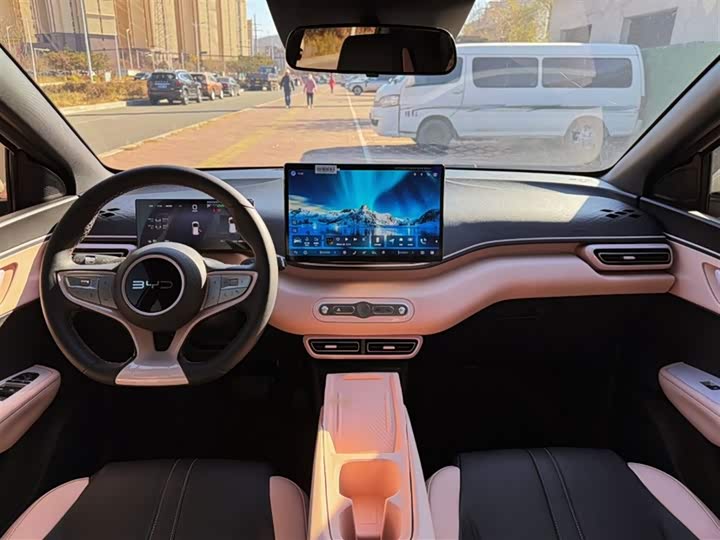 BYD Seagull 2025 2025款 智驾版 305km 自由版