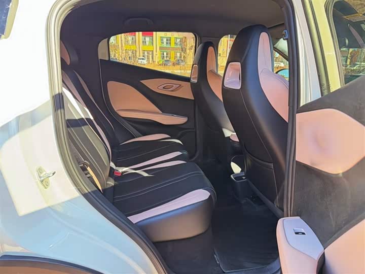 BYD Seagull 2025 2025款 智驾版 305km 自由版