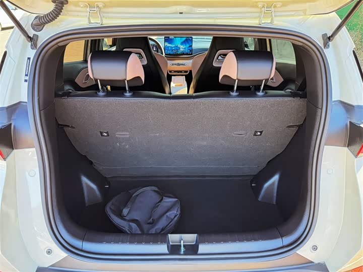 BYD Seagull 2025 2025款 智驾版 305km 自由版