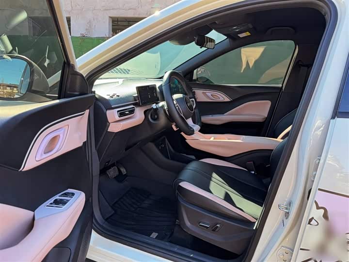 BYD Seagull 2025 2025款 智驾版 305km 自由版