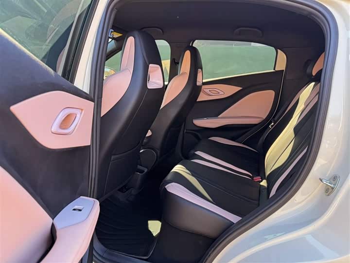 BYD Seagull 2025 2025款 智驾版 305km 自由版