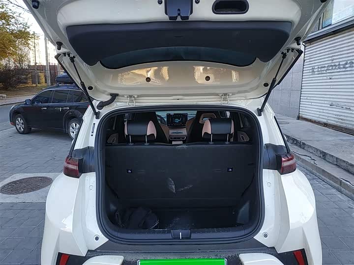 BYD Seagull 2025 2025款 智驾版 305km 自由版