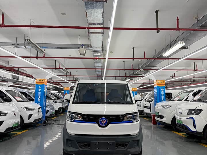 Foton Smart Smurf E7 2024 2024款 纯电动厢式运输车 平顶2座 宁德时代46.36kWh