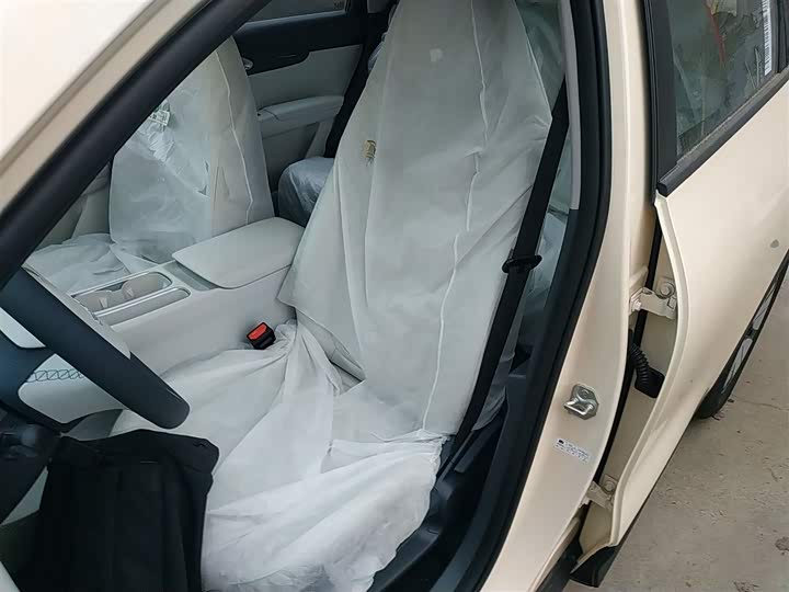 Geely Galaxy Geome 2026 2026款 310km 青春版