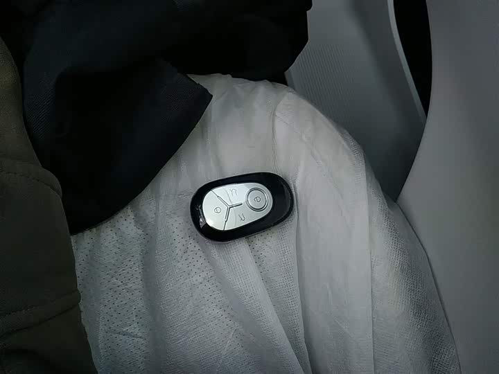 Geely Galaxy Geome 2026 2026款 310km 青春版