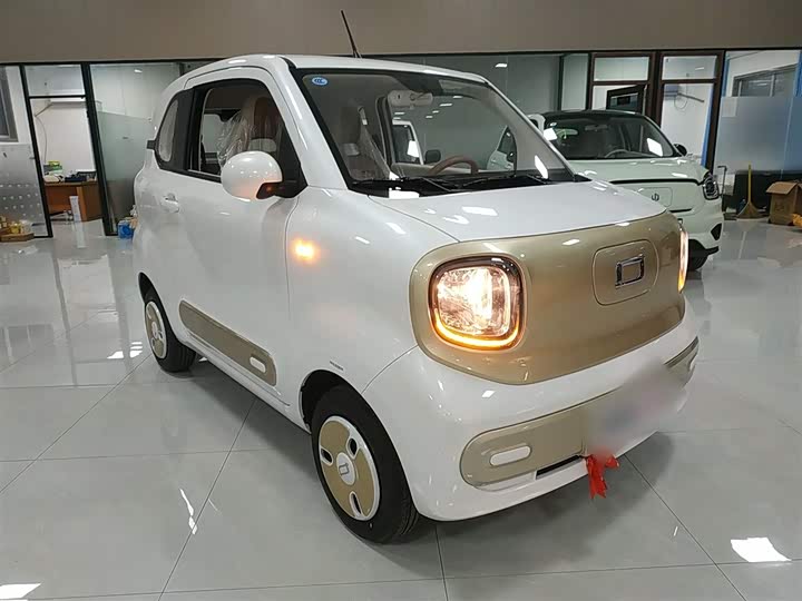 Bestune Pony 2026 2026款 222km 炫彩马