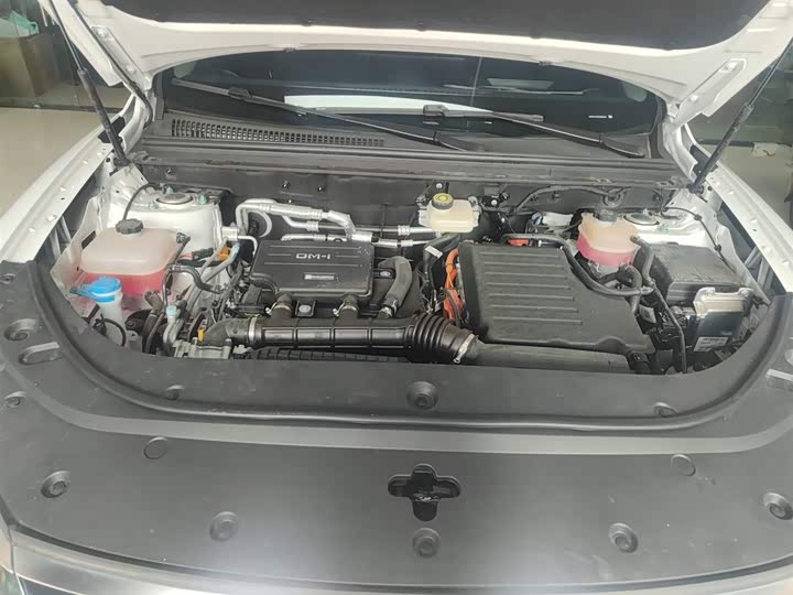 BYD Sea Lion 05 DM-i Hybrid 2025 2025款 DM-i 智驾版 115KM旗舰型