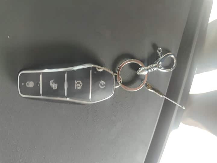 BYD Sea Lion 05 DM-i Hybrid 2025 2025款 DM-i 智驾版 115KM旗舰型