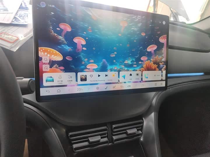 BYD Sea Lion 05 DM-i Hybrid 2025 2025款 DM-i 智驾版 115KM旗舰型