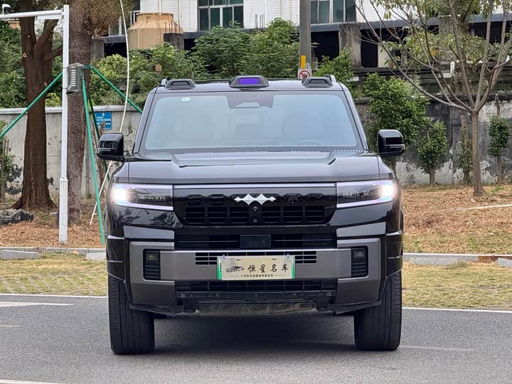 2025 BYD FangChengBao Leopard 8