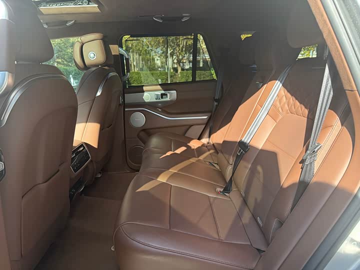 Tank 700 Hybrid 2024 2024款 Hi4-T 极境版