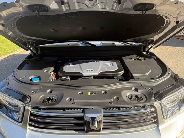 Tank 700 Hybrid 2024 2024款 Hi4-T 极境版