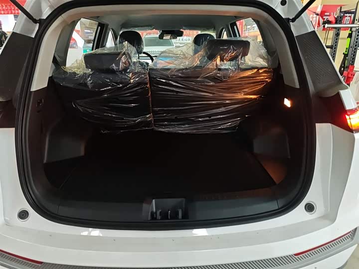 GAC Aion Y 2025 2025款 Plus 510 智豪版