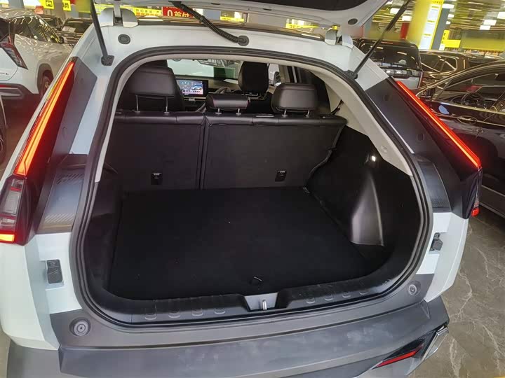 GAC Trumpchi Emkoo 2022 2022款 2.0ATK 双子星版