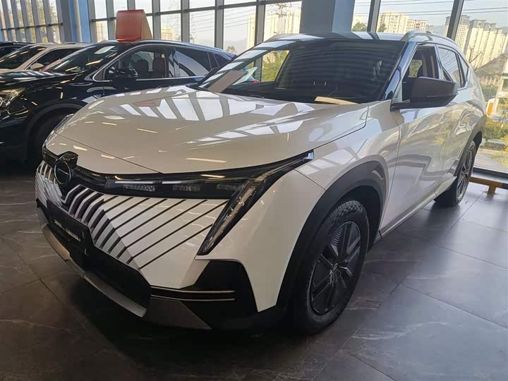 GAC Trumpchi Emkoo 2022 2022款 2.0ATK 双子星版