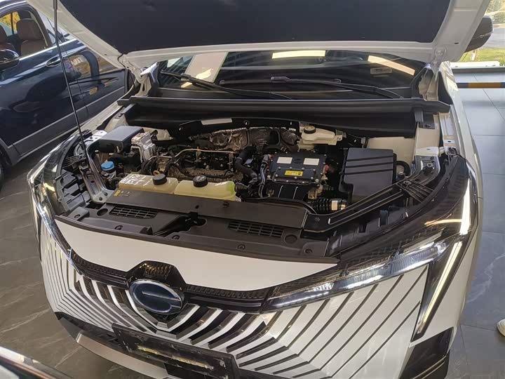 GAC Trumpchi Emkoo 2022 2022款 2.0ATK 双子星版