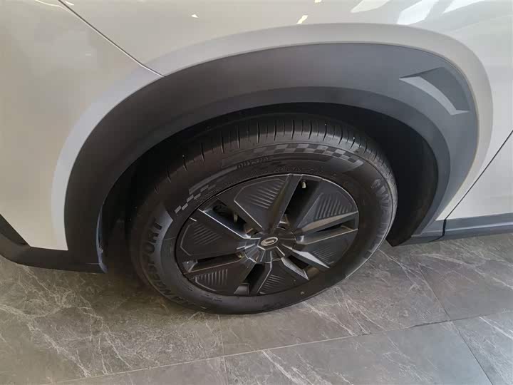 GAC Trumpchi Emkoo 2022 2022款 2.0ATK 双子星版