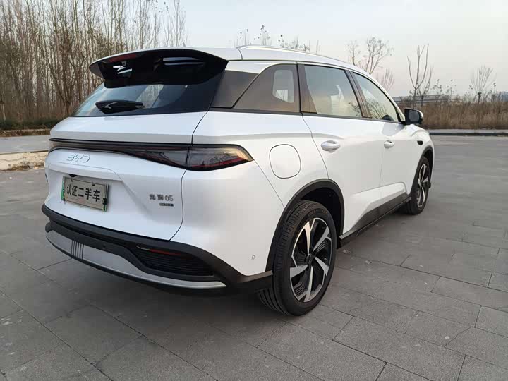 BYD Sea Lion 05 DM-i Hybrid 2025 2025款 DM-i 智驾版 115KM旗舰型