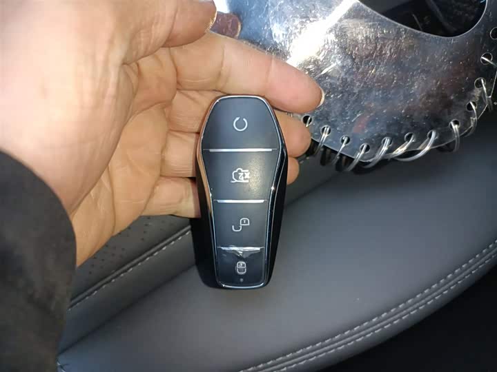 BYD Qin Plus 2025 2025款 DM-i 智驾版 55KM领先型