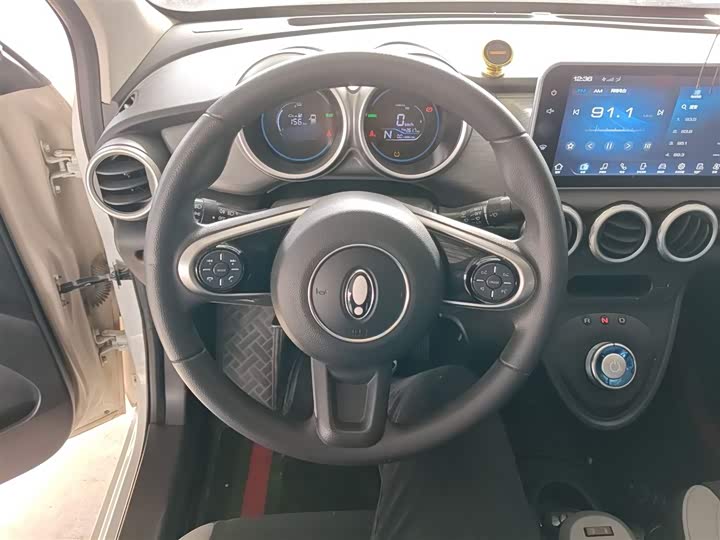 Ora Black Cat 2022 2022款 301km 基础型 三元锂