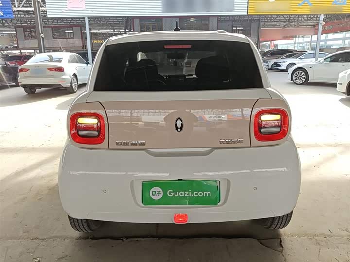 Ora Black Cat 2022 2022款 301km 基础型 三元锂