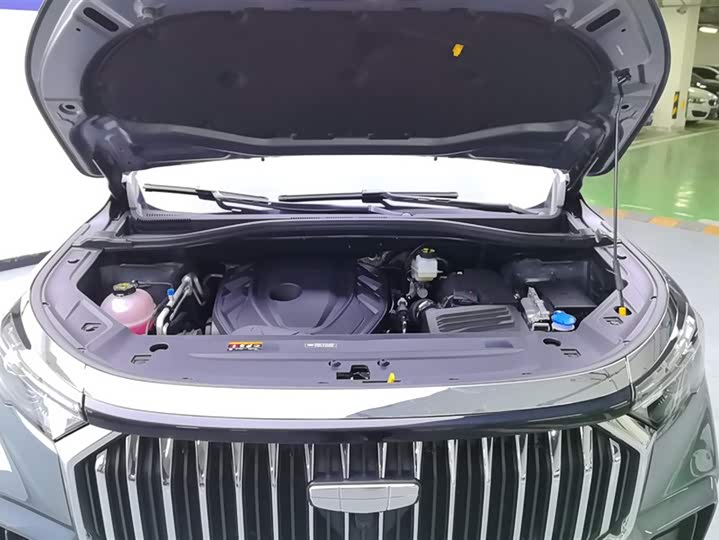 Geely Okavango L 2024 2024款 2.0T DCT尊贵型