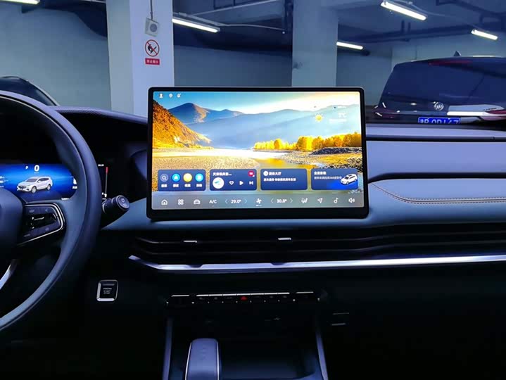 Geely Okavango L 2024 2024款 2.0T DCT尊贵型