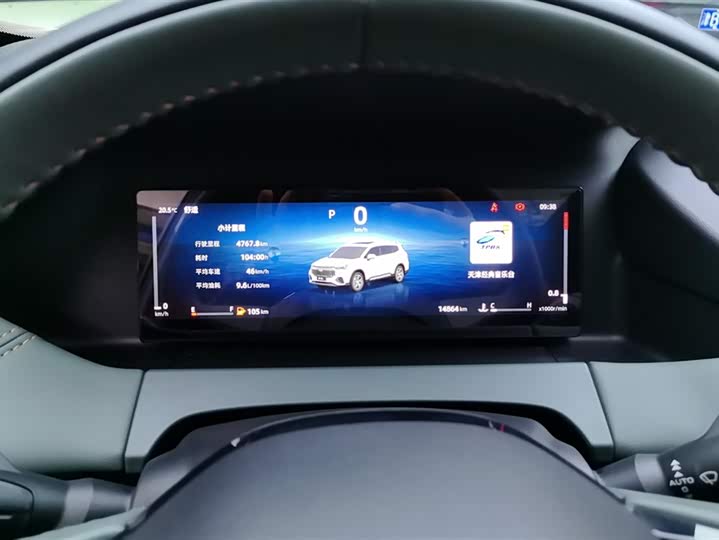 Geely Okavango L 2024 2024款 2.0T DCT尊贵型