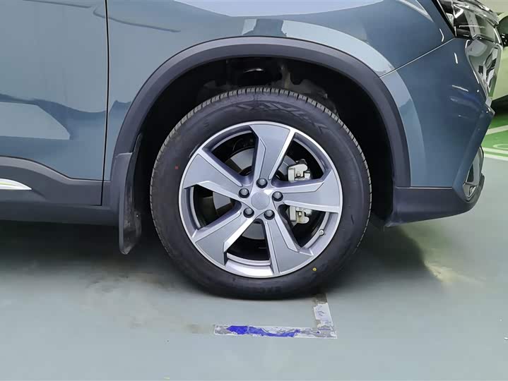 Geely Okavango L 2024 2024款 2.0T DCT尊贵型