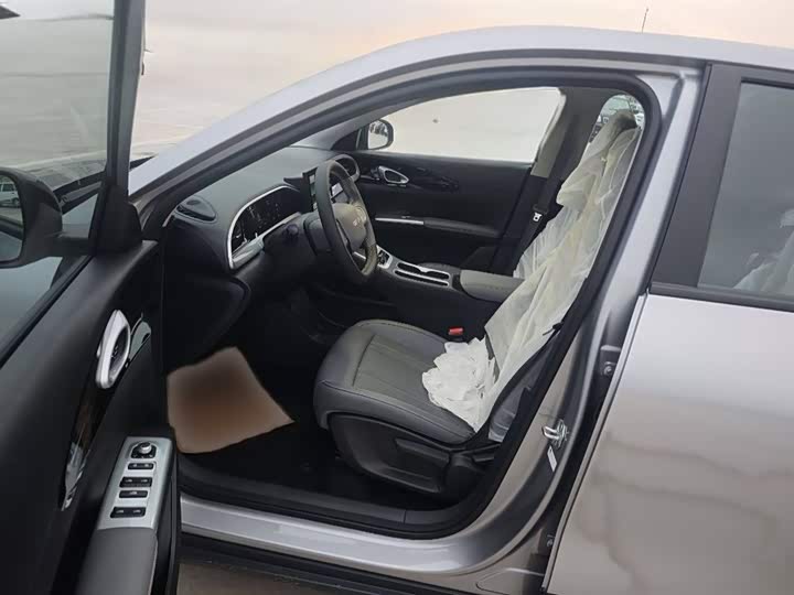 Geely Galaxy Geome 2026 2026款 310km 青春版