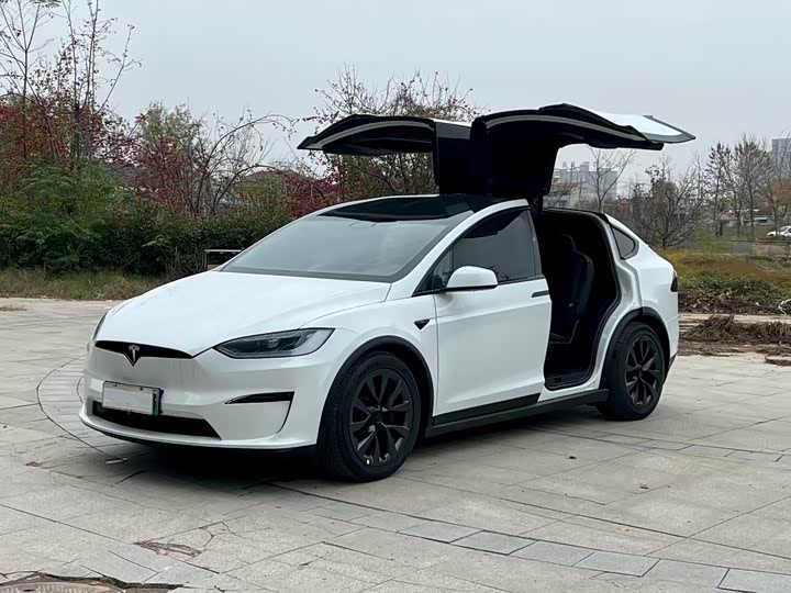 Tesla Model X 2023 2023款 双电机全轮驱动版