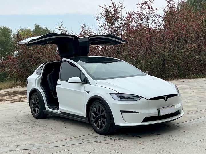 Tesla Model X 2023 2023款 双电机全轮驱动版