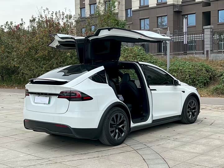 Tesla Model X 2023 2023款 双电机全轮驱动版