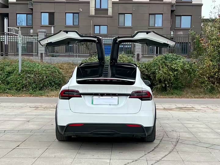 Tesla Model X 2023 2023款 双电机全轮驱动版