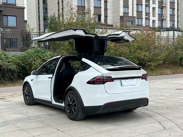 Tesla Model X 2023 2023款 双电机全轮驱动版