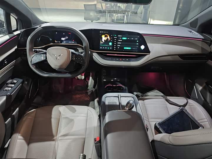 Hongqi EH7 2024 2024款 690 Pro