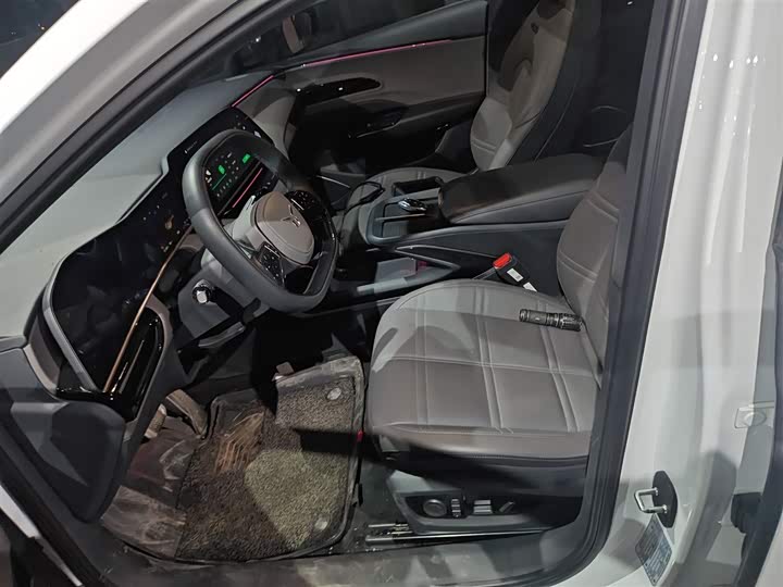 Hongqi EH7 2024 2024款 690 Pro