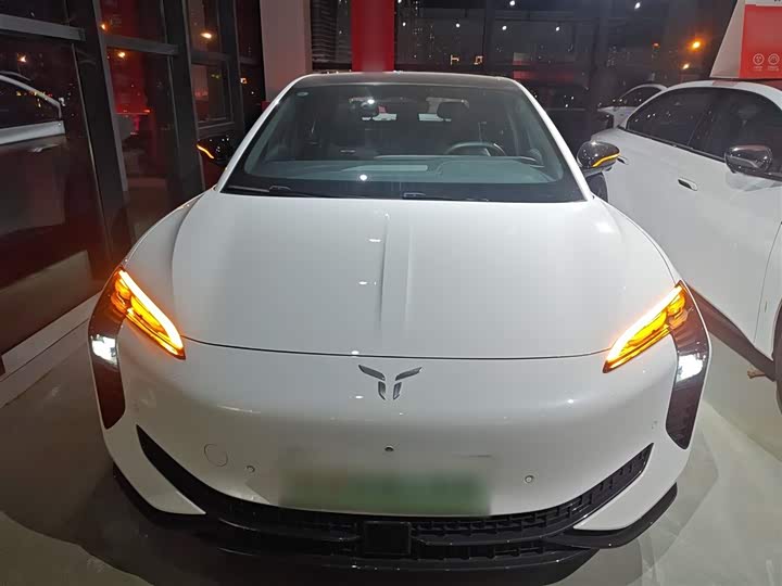 Hongqi EH7 2024 2024款 690 Pro