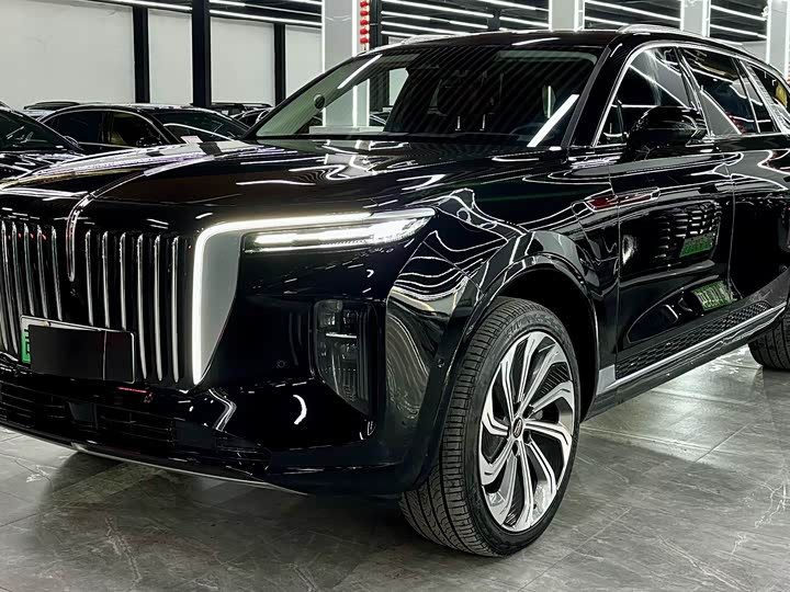 Hongqi E-HS9 2022 2022款 660km 旗领版 四座