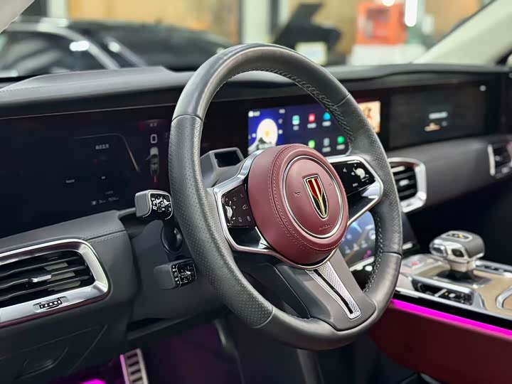 Hongqi E-HS9 2022 2022款 660km 旗领版 四座