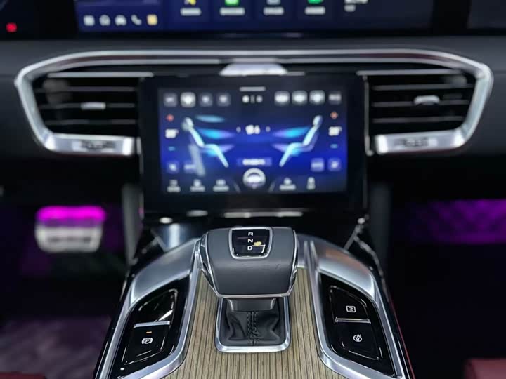 Hongqi E-HS9 2022 2022款 660km 旗领版 四座