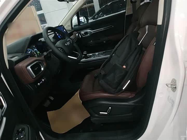 Geely Okavango 2022 2022款 1.8TD DCT豪华型 7座