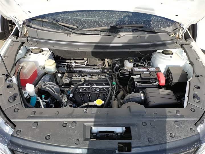 Dongfeng Forthing T5 2022 2022款 盛世款 1.6L 手动筑梦版五座